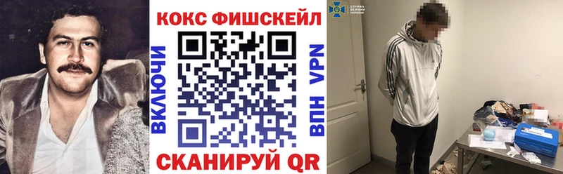 Cocaine FishScale  закладки  Болгар 